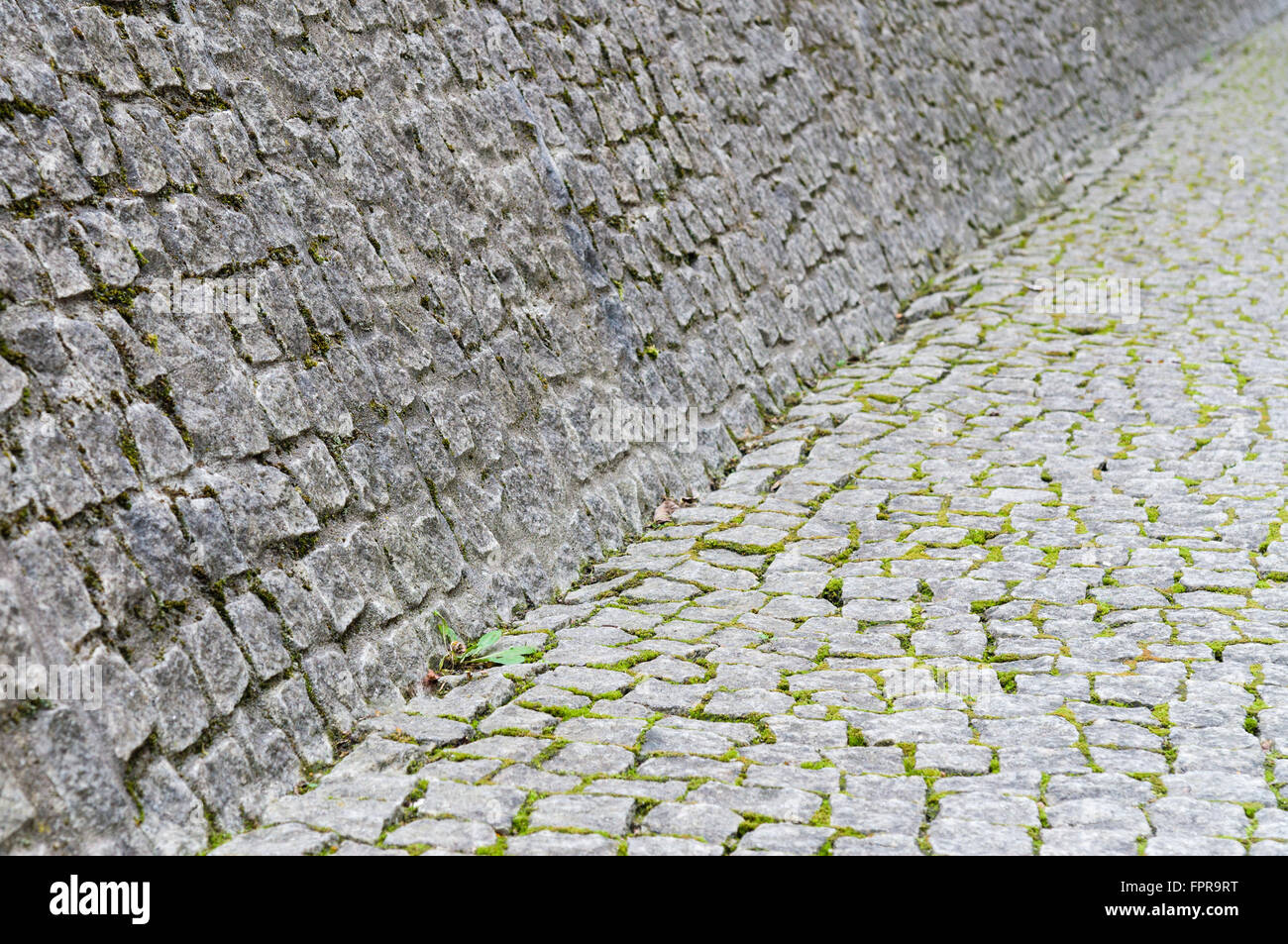 Cobblestone pavement e parete con moss crescita tra le pietre Foto Stock