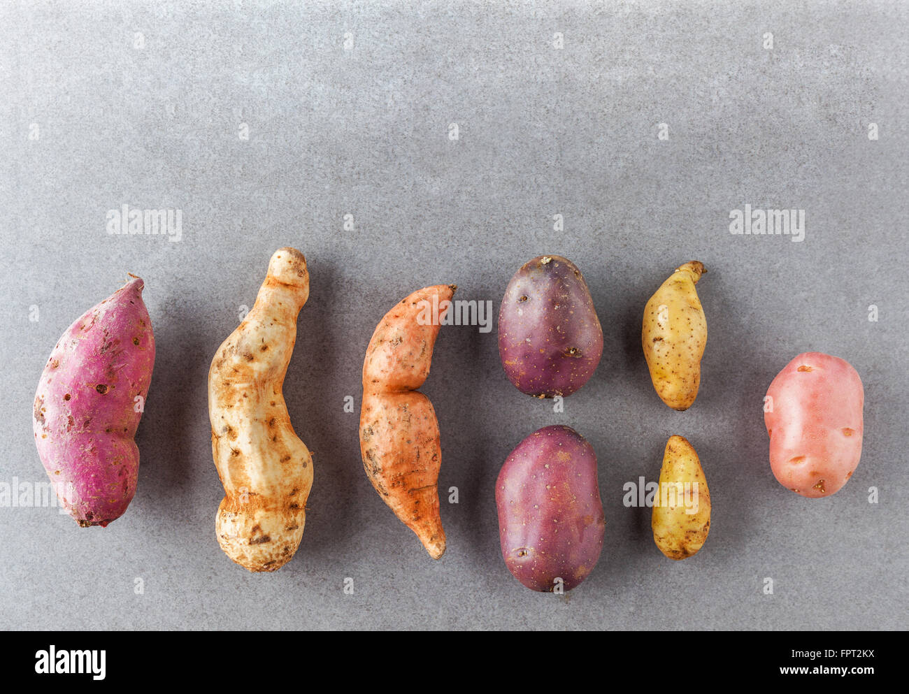 Diversi tipi di patate lay piatto con spazio di copia Foto Stock