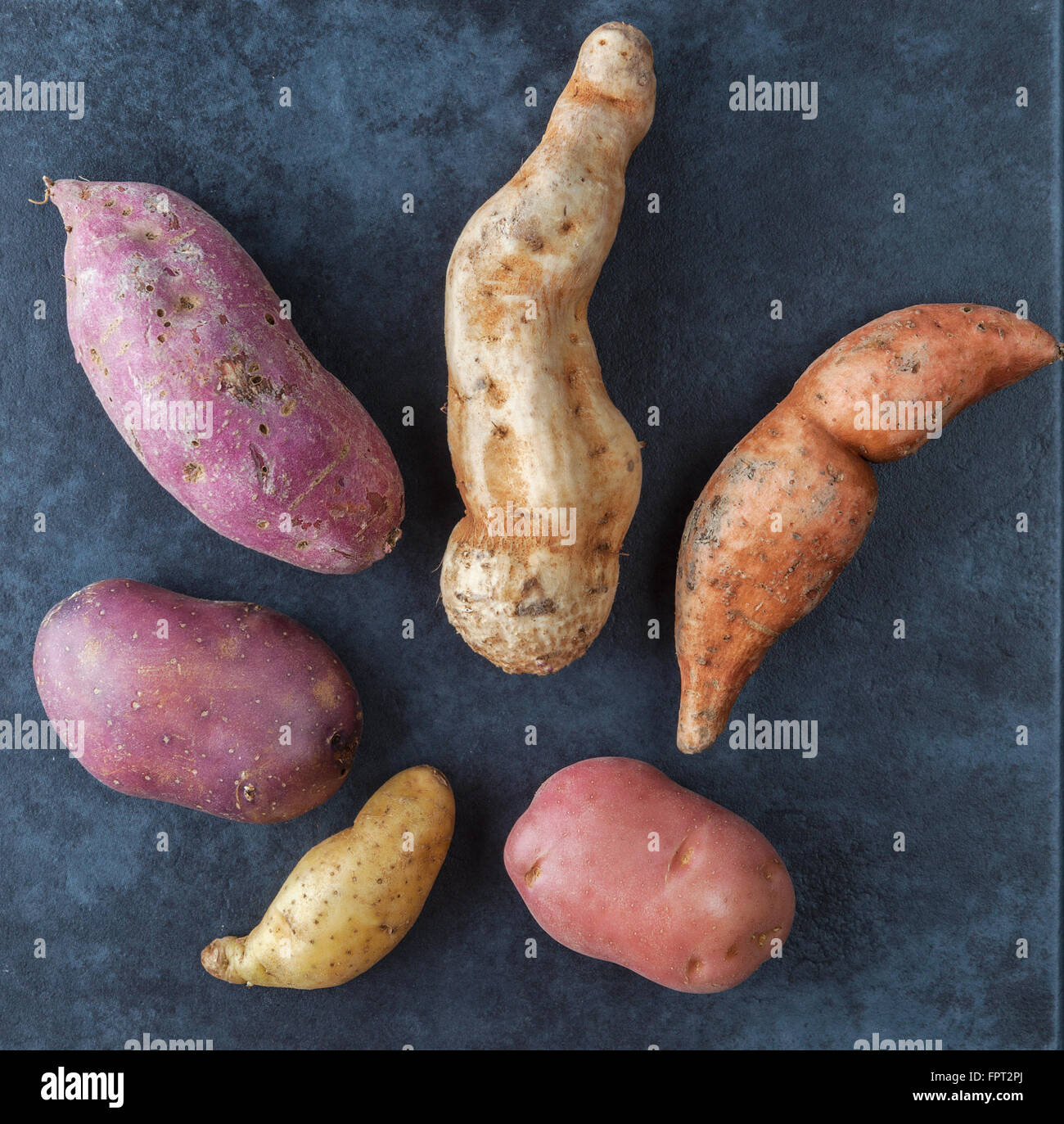 Sei tipi di patate su dark grunge superficie. Vista dall'alto. Foto Stock