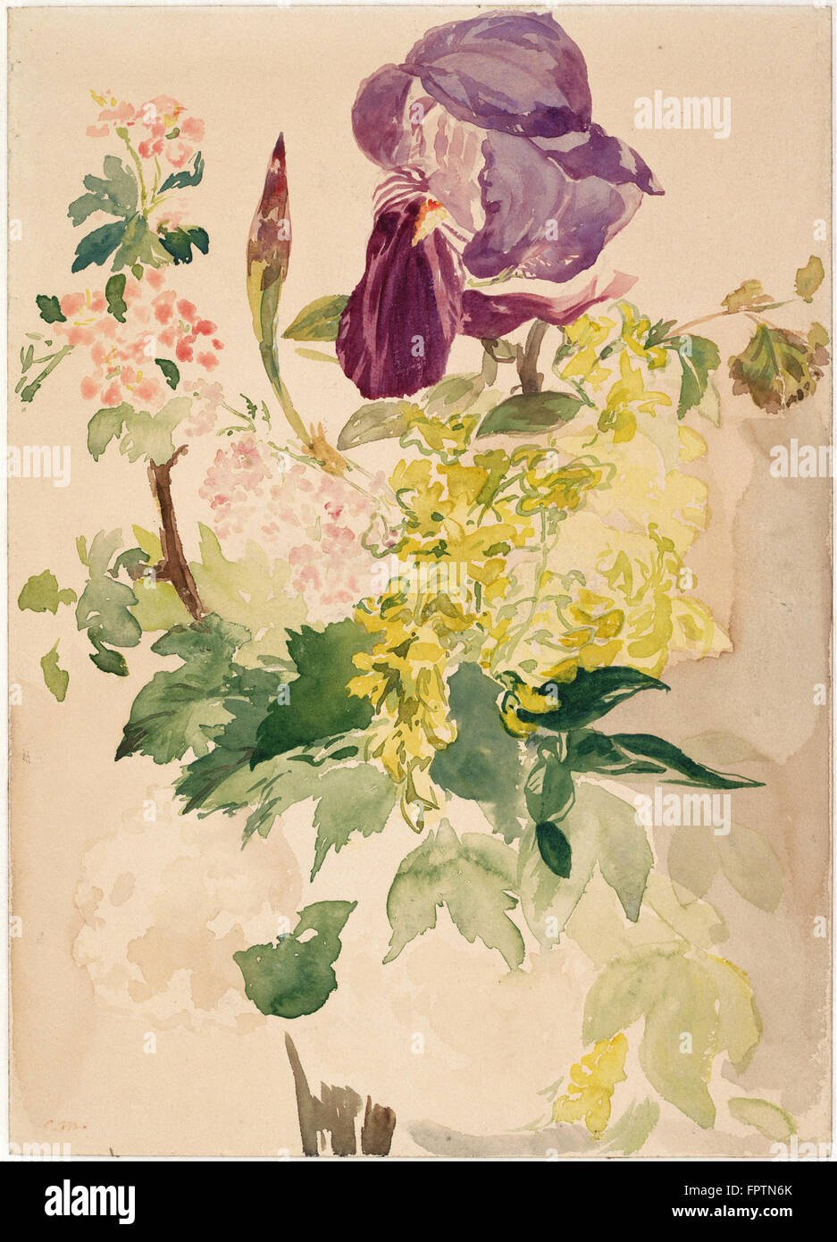 Edouard Manet - Flower pezzo con Iris - il Maggiociondolo - e geranio - 1880 Foto Stock