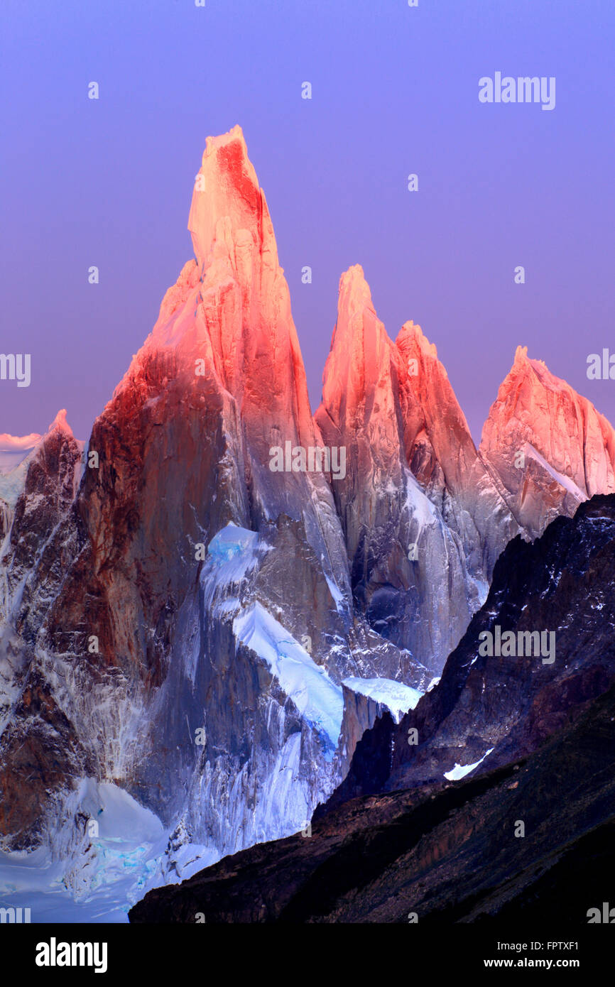 Cerro Torre di sunrise, El Chalten, Santa Cruz, Argentina Foto Stock Cerro Torre di sunrise, El Chalten, Santa Cruz, Argentina Foto Stock