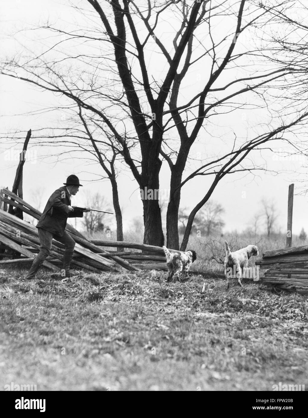 1920s uomo cacciatore con fucile e due cani da caccia da SPLIT CANCELLATA Foto Stock