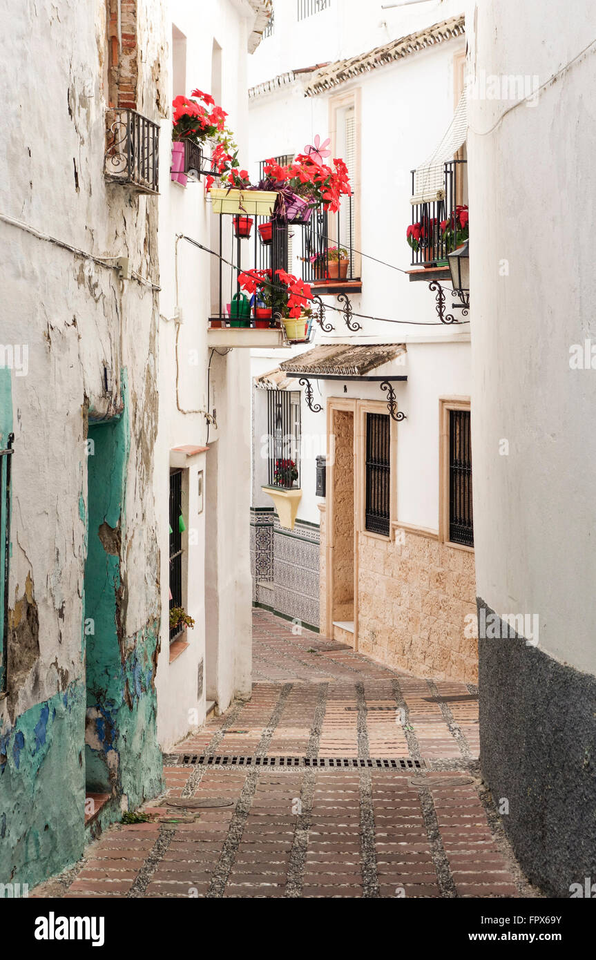 Tipico andaluso stretta strada con vasi di fiori, Marbella, Andalusia, Spagna. Foto Stock