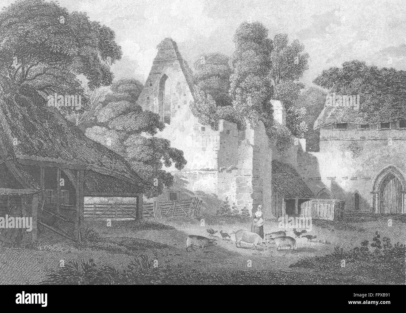 BUCKS: Burnham abbazia: Lady alimentare pollame suini, antica stampa 1808 Foto Stock