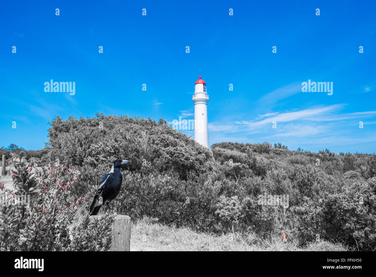 Faro rosso Foto Stock