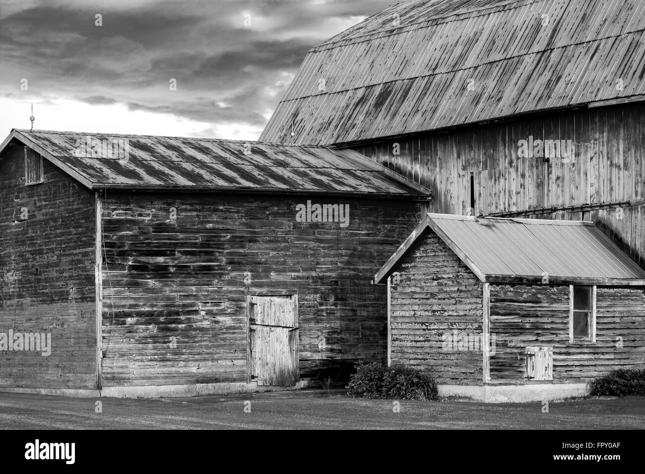 Un bianco e nero paesaggio monocromatico immagine di un tradizionale granaio in legno nella parte sud-ovest della Ontario in Canada. Foto Stock