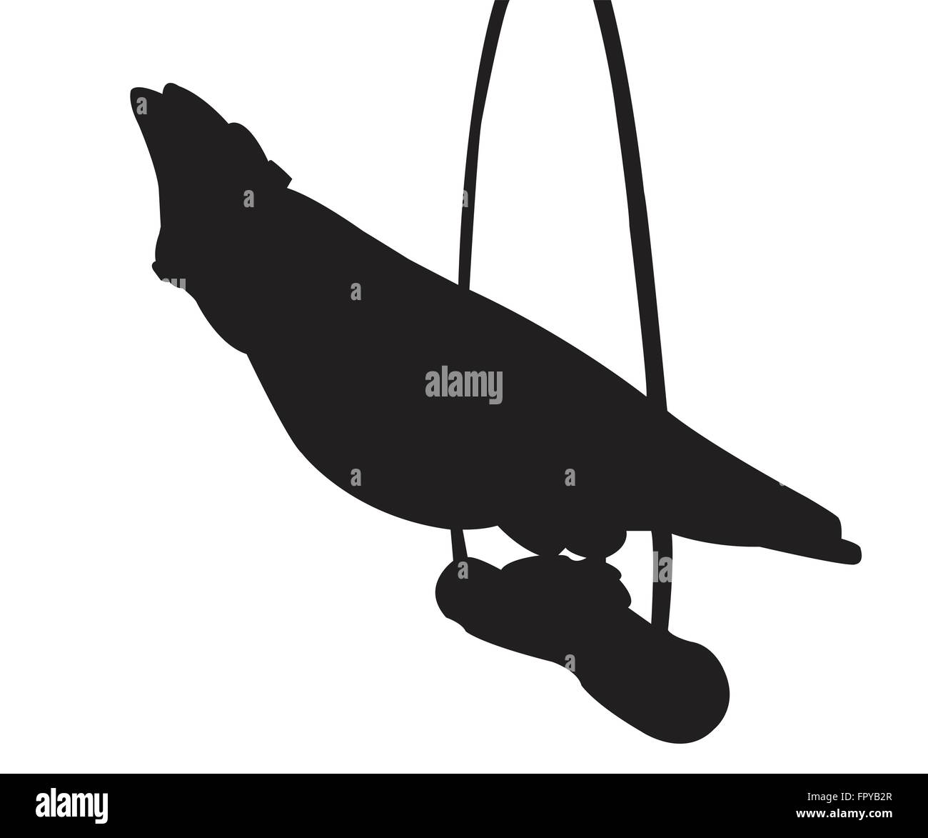 Parrot siede su un palo di legno sagome sullo sfondo bianco Illustrazione Vettoriale