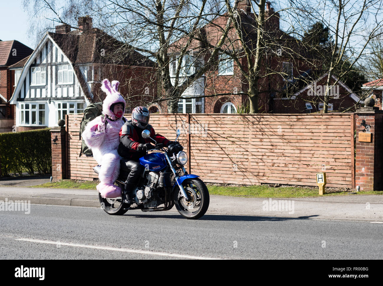 Papplewick, Nottinghamshire, Regno Unito. Xx Marzo 2016. Centinaia di motociclisti per l'annuale di carità bikers easter egg run forma Nottingham a Mansfield. Molti vestiti in costumi di coniglio e fancy dress.Le donazioni di uova avranno un adesivo posto su di loro dicendo: "Questo uovo è stato donato con i migliori auguri da motociclisti del Nottinghamshire Easter Egg Run' e verranno poi distribuiti dai vigili del fuoco a certi centri di avviamento, case per bambini, bambini con bisogni speciali e di coloro che vivono con i genitori Foster. Credito: Ian Francesco/Alamy Live News Foto Stock