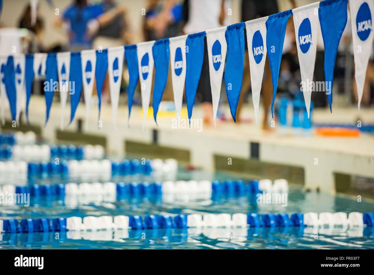 Il NCAA bandiere durante il NCAA donna Nuoto e Immersioni Subacquee campionato sabato 19 marzo, 2016 presso la Georgia Tech Campus Recreation Centre in Atlanta, GA. Giacobbe Kupferman/CSM Foto Stock