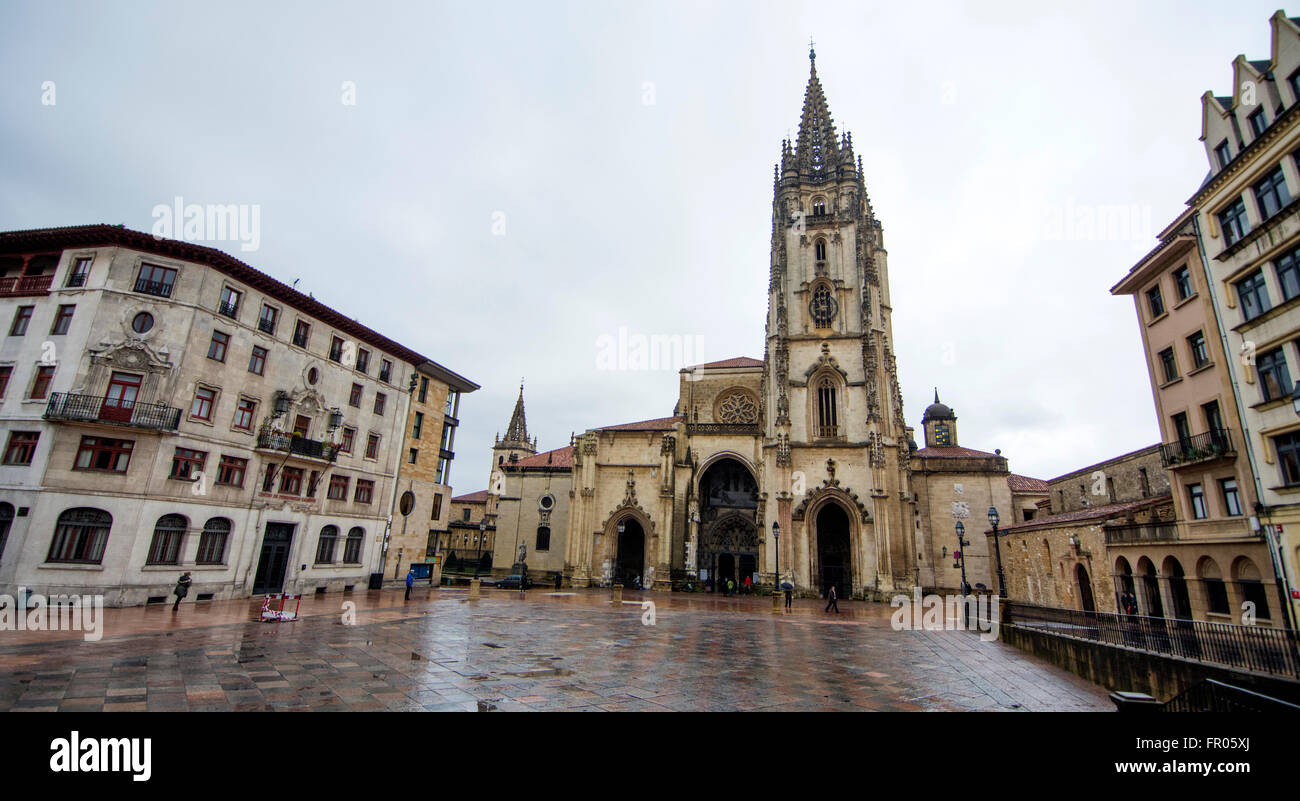 Oviedo, Spagna. Xx marzo, 2016. Cattedrale di Oviedo durante la celebrazione della Domenica delle Palme, che commemora Gesù" trionfale ingresso a Gerusalemme, il 20 marzo 2016 a Oviedo, Spagna. Credito: David Gato/Alamy Live News Foto Stock