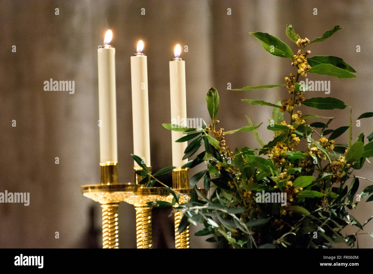 Oviedo, Spagna. Xx marzo, 2016. Le candele e i mazzi di fiori di alloro, durante la Messa nella Cattedrale di Oviedo a Domenica delle Palme, che commemora Gesù" trionfale ingresso a Gerusalemme, il 20 marzo 2016 a Oviedo, Spagna. Credito: David Gato/Alamy Live News Foto Stock