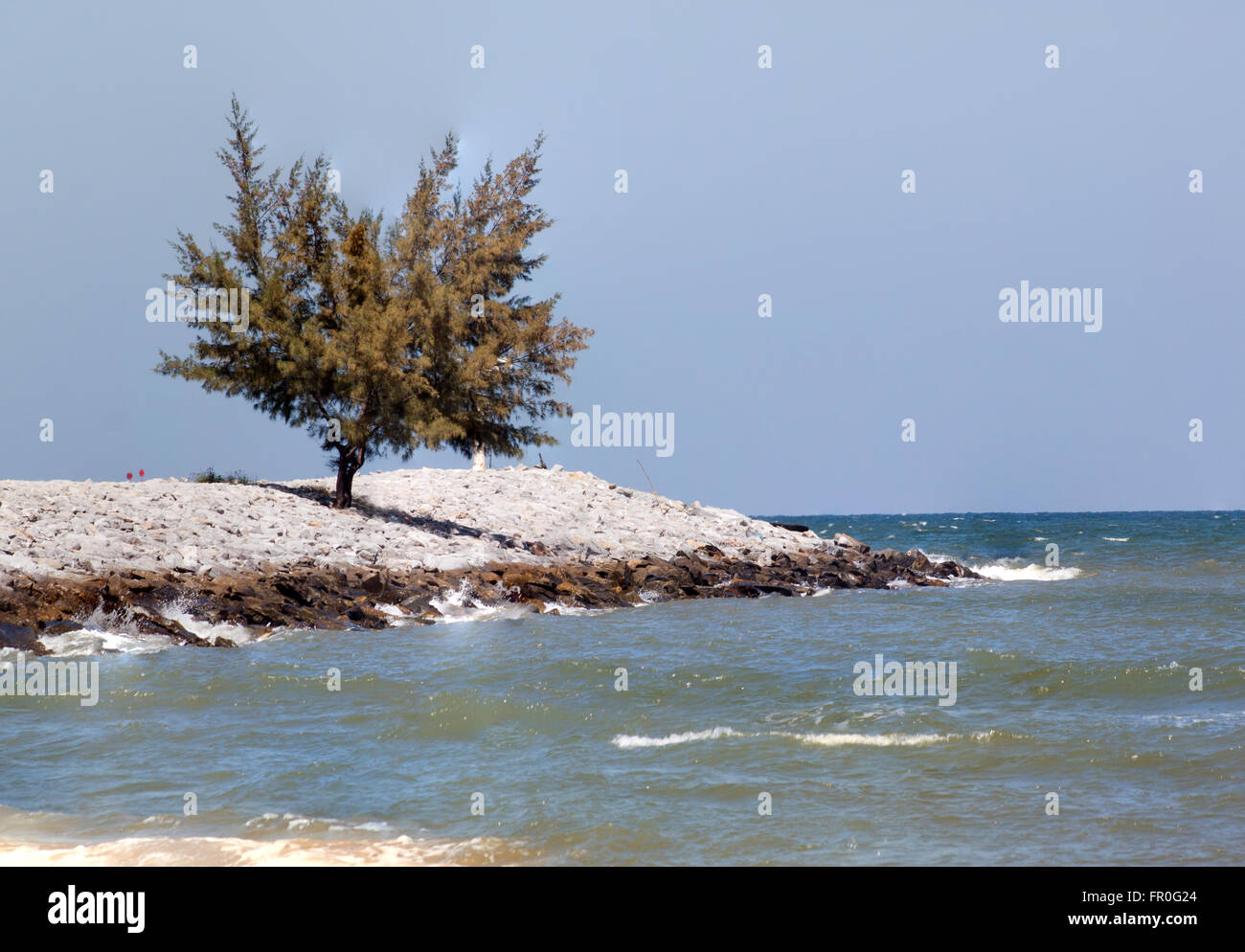 Solo ad albero nella roccia dei rifiuti di diga in mare con il blu del cielo Foto Stock