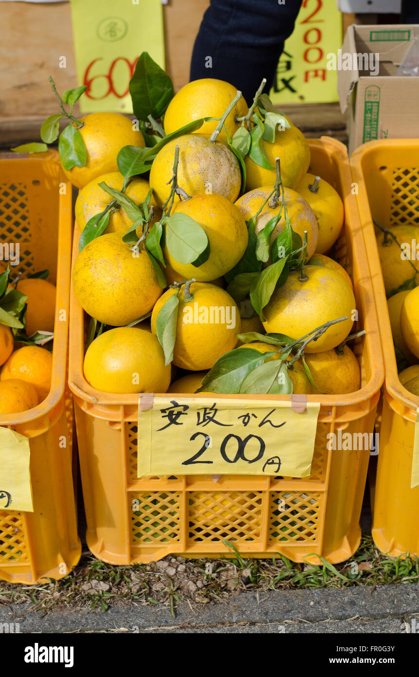 Giapponese frutta arancione f Foto Stock