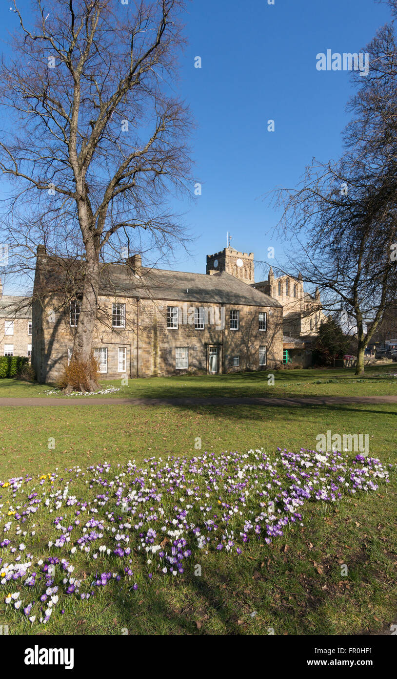Hexham Abbey e Abbey House con crochi fioritura nel parco del Sele, Northumberland, England, Regno Unito Foto Stock