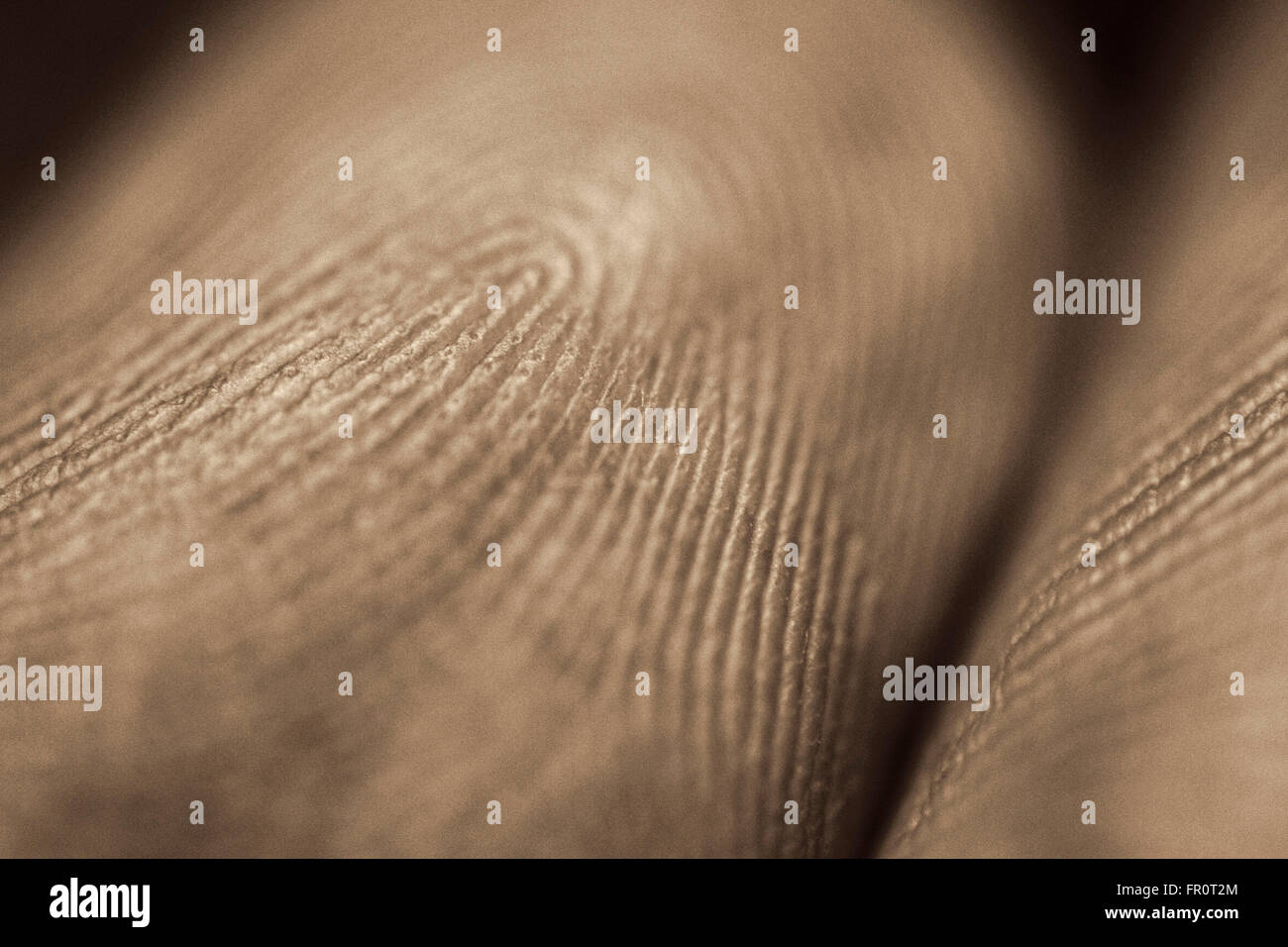 Linee sul dito indice Foto Stock