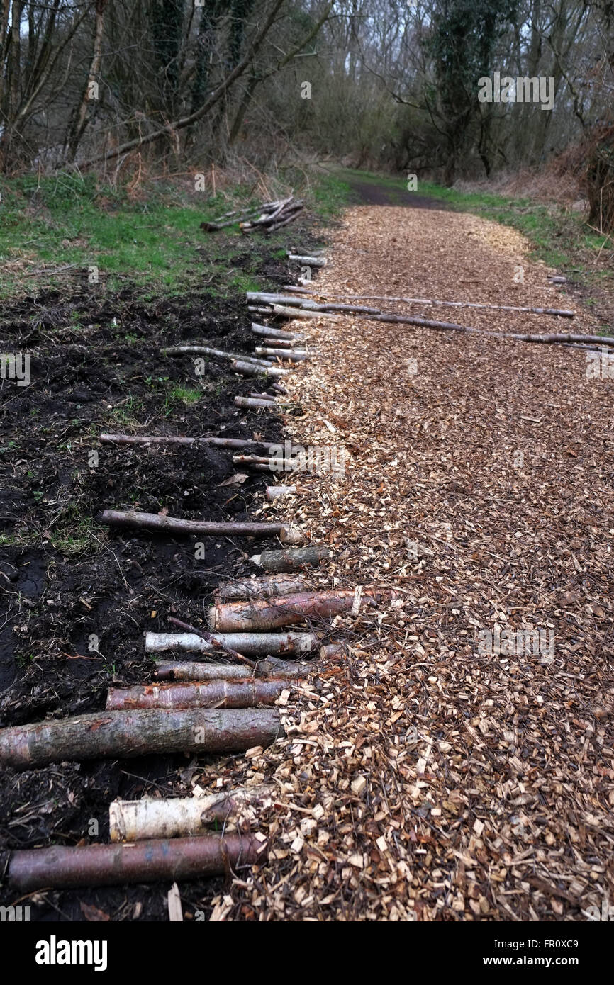 Legno naturale percorso del chip attraverso il bosco per un sentiero natura, con i registri per aggiungere resistenza. Marzo 2016 Foto Stock