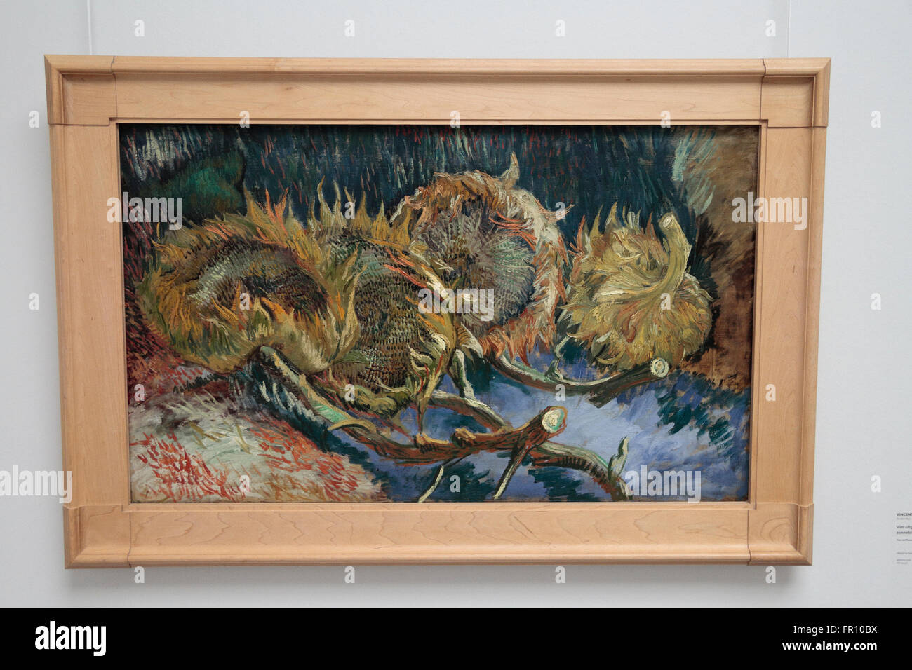 Quadri girasoli vincent van gogh immagini