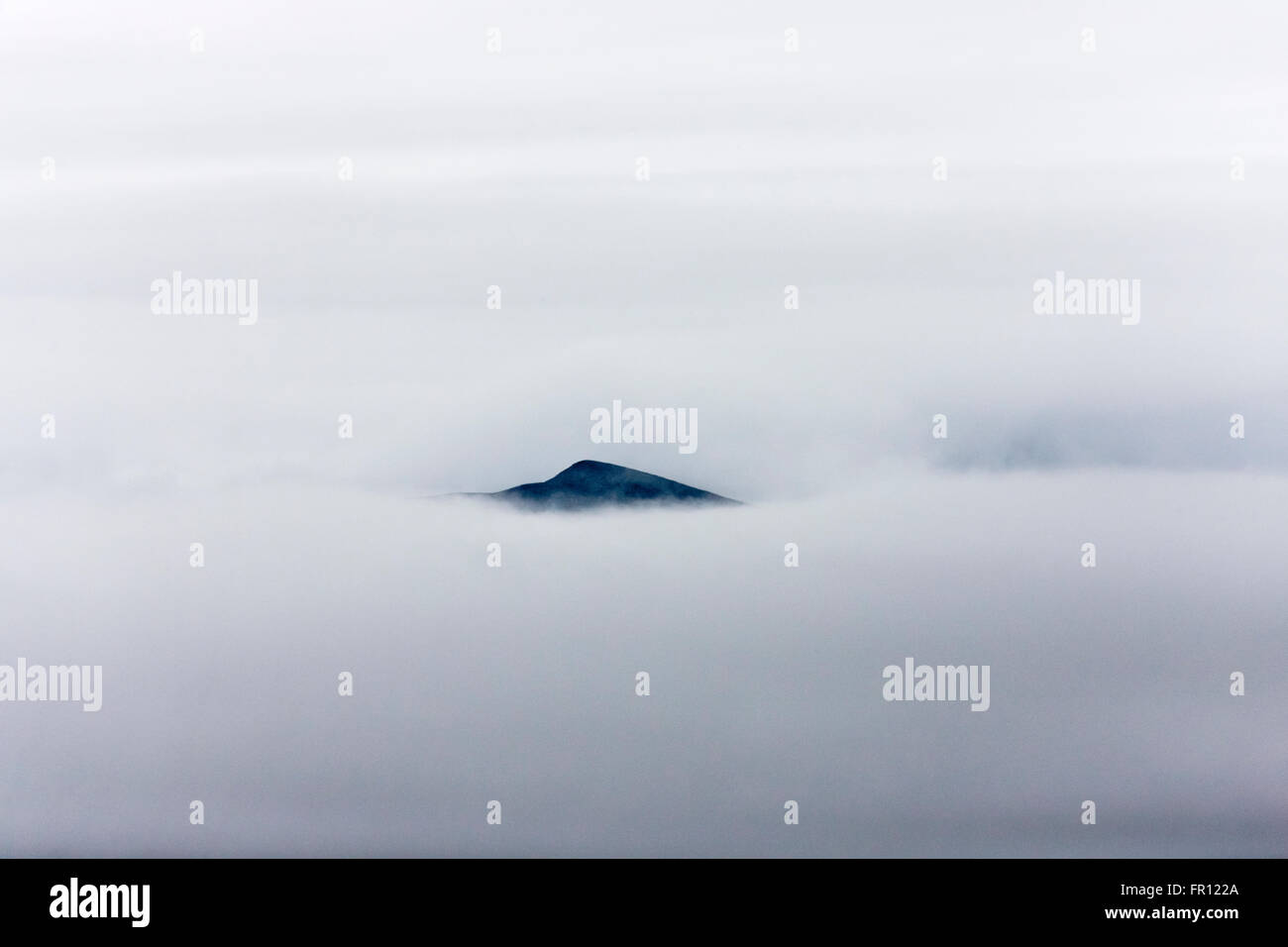 Isola nella nebbia, Wrangel isola nel mare Chukchi, Estremo Oriente Russo Foto Stock