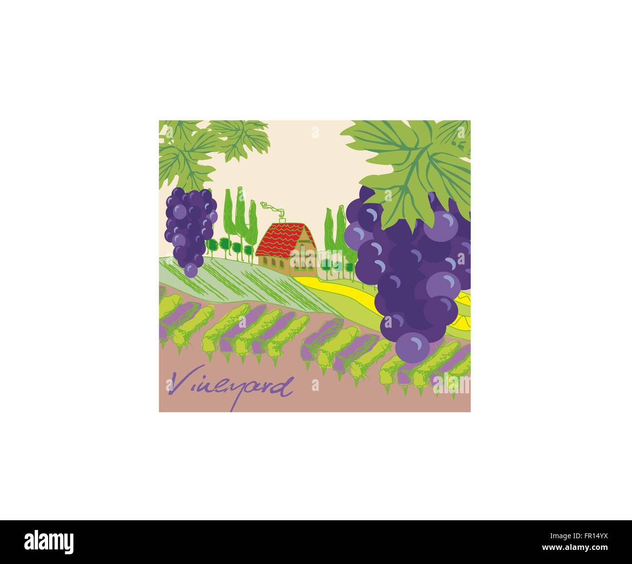 Illustrazione Vettoriale di vigneto Illustrazione Vettoriale