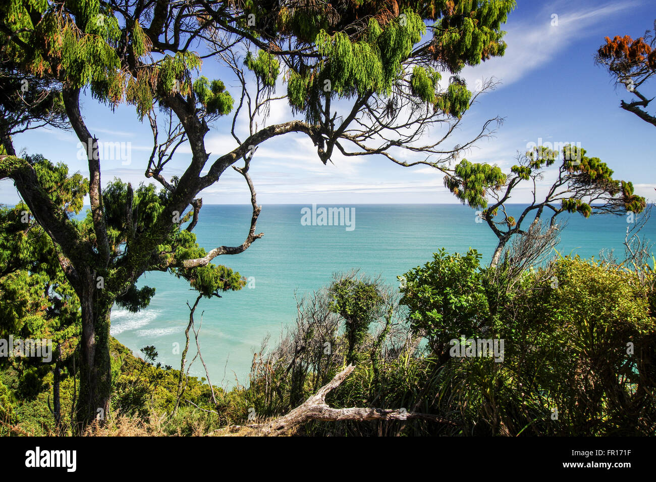 Vista del Mare di Tasman dal Three Mile Pack via - Okarito, Nuova Zelanda Foto Stock