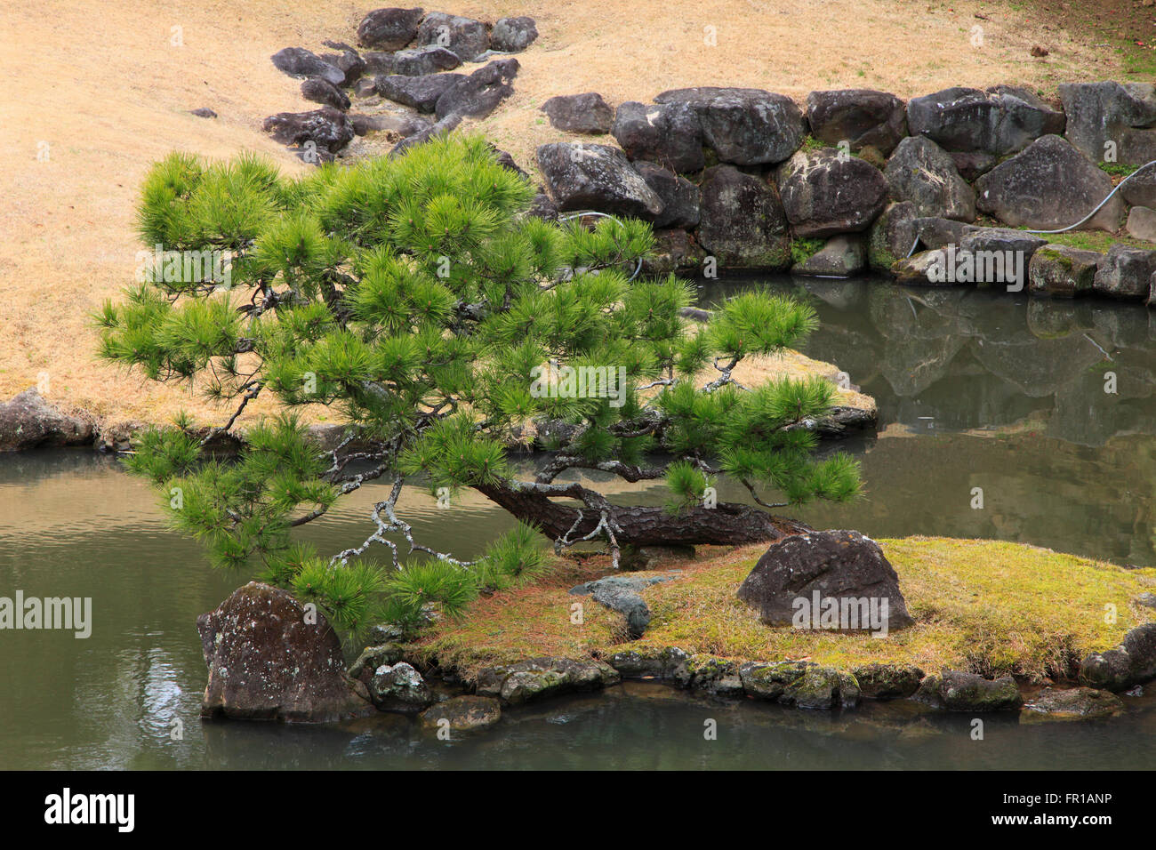 Il Giappone a Kamakura, Tempio Kenchoji, Teien giardino, Foto Stock