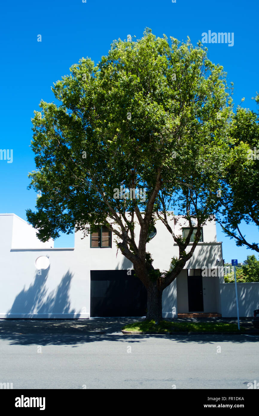 Le aree residenziali, Wellington, Nuova Zelanda Foto Stock