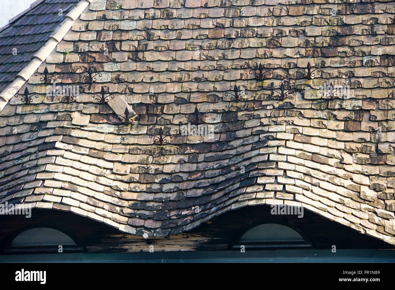 Szentendre, Pest county, Ungheria Foto Stock