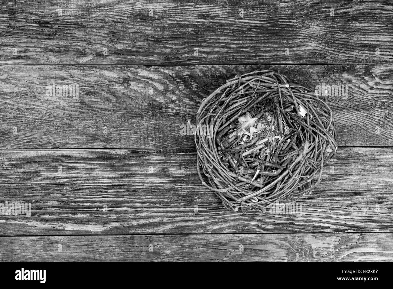 Vuoto nido di uccelli su sfondo di legno in bianco e nero Foto Stock