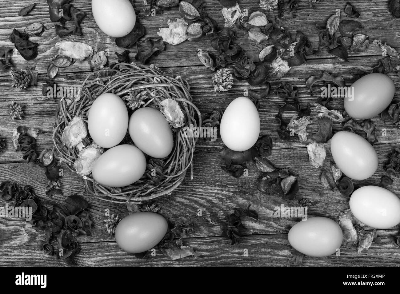 Grappolo di uova di Pasqua nel nido di uccelli su sfondo di legno con petali di fiori Foto Stock