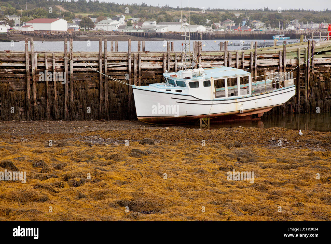 Barca,nave,asciutto,dock,pier,bassa marea,a terra,maritimes,la pesca,Nova Scotia, Canada, Foto Stock