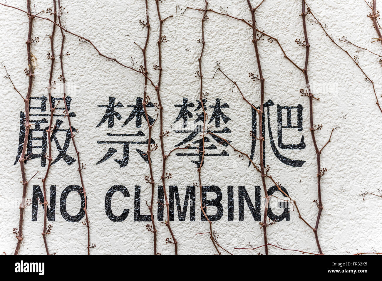 No arrampicata inglese e cinese parola sulla parete Foto Stock