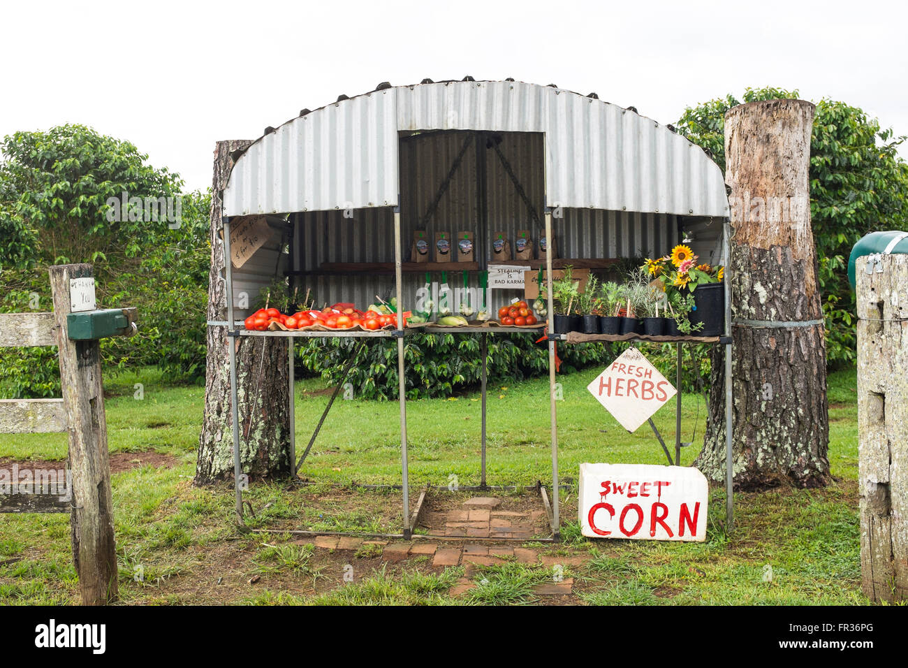 Gli agricoltori stradale' bancarelle vicino alla Baia di Byron, NSW, Australia Foto Stock