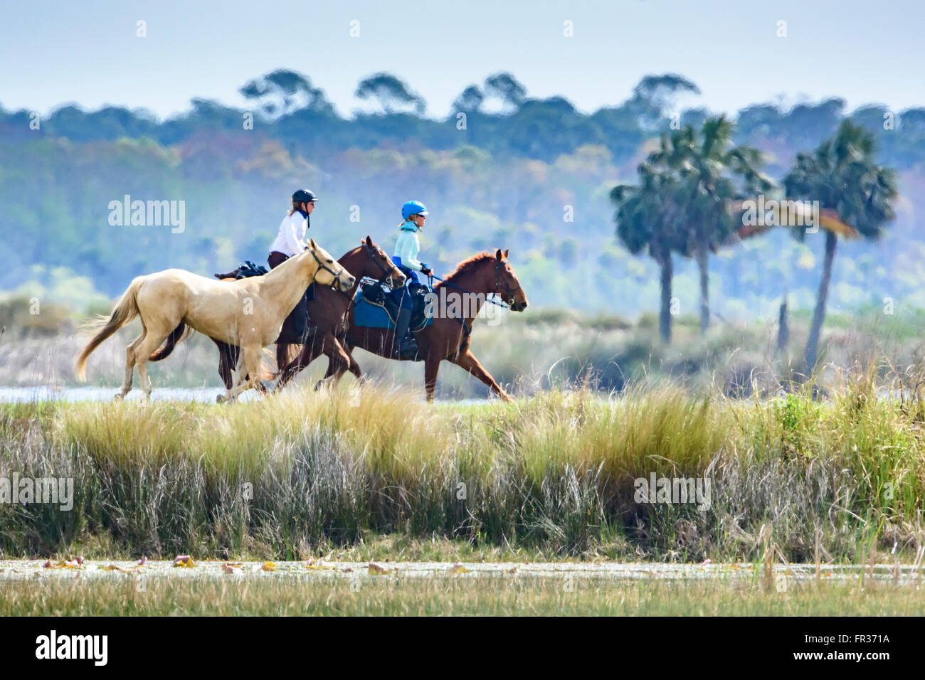 Piacere di guida Foto Stock