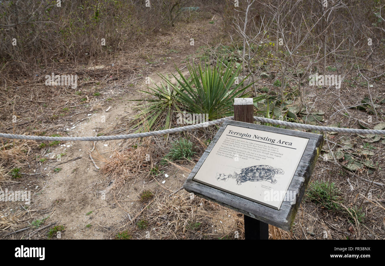 Segno indicante un protetto terrapin area di nidificazione in Jamaica Bay Wildlife Refuge, Queens, a New York. Foto Stock