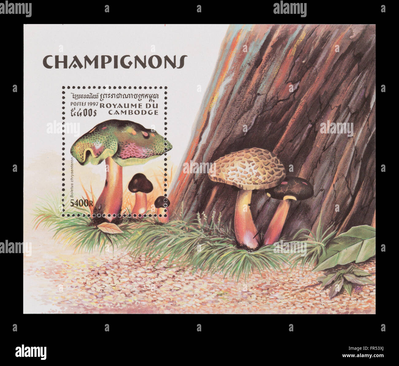 Foglio di Souvenir dalla Cambogia raffiguranti bolete fungo (Xerocomellus chrysenteron) (Boletus chrysenteron) Foto Stock Foglio di Souvenir dalla Cambogia raffiguranti bolete fungo (Xerocomellus chrysenteron) (Boletus chrysenteron) Foto Stock