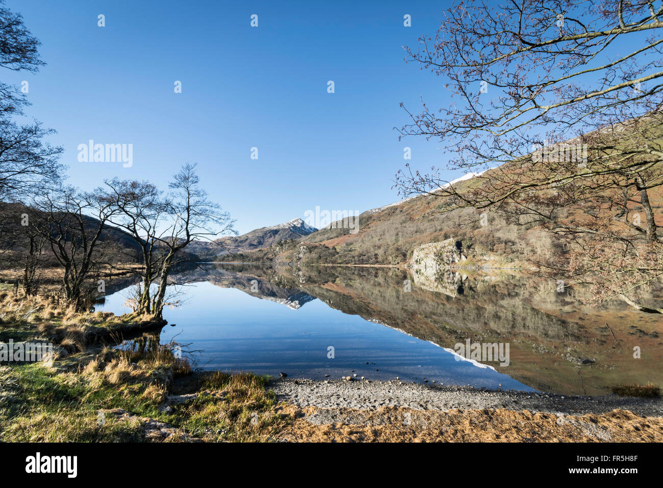 Llyn Gwynant lago sulla A498 strada da Beddgelert nel Parco Nazionale di Snowdonia nel Galles del Nord Foto Stock