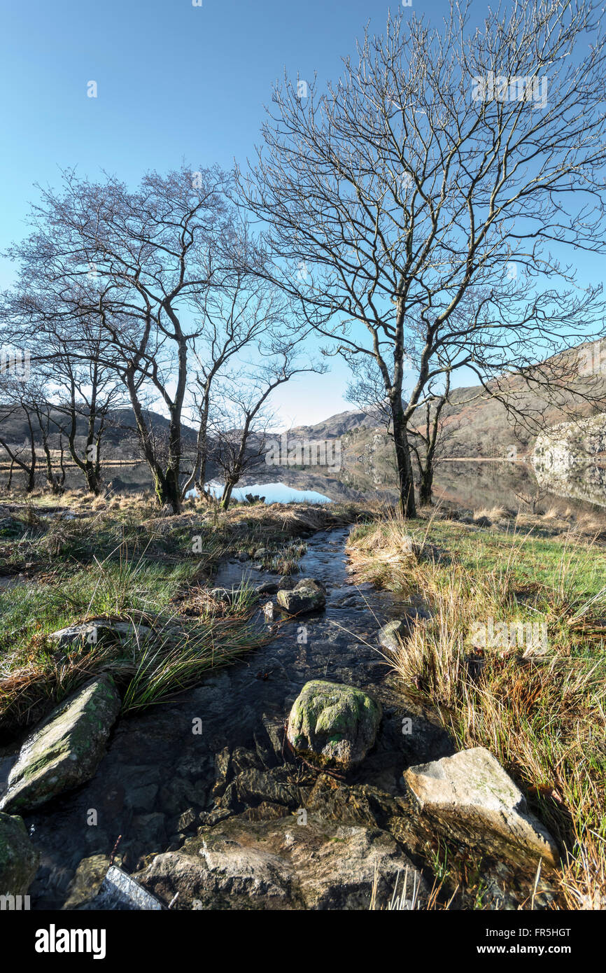 Llyn Gwynant lago sulla A498 strada da Beddgelert nel Parco Nazionale di Snowdonia nel Galles del Nord Foto Stock