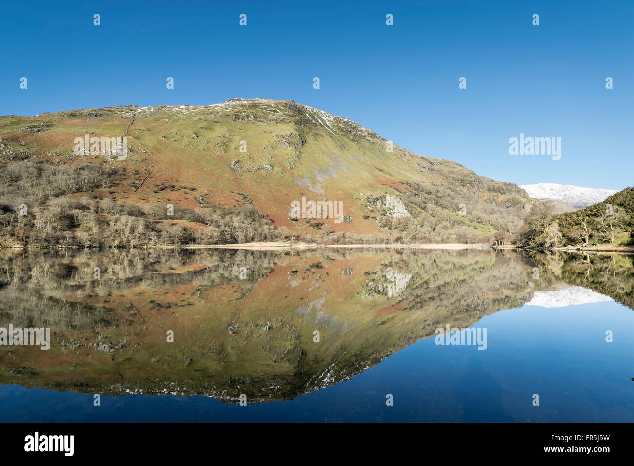 Llyn Gwynant lago sulla A498 strada da Beddgelert nel Parco Nazionale di Snowdonia nel Galles del Nord Foto Stock