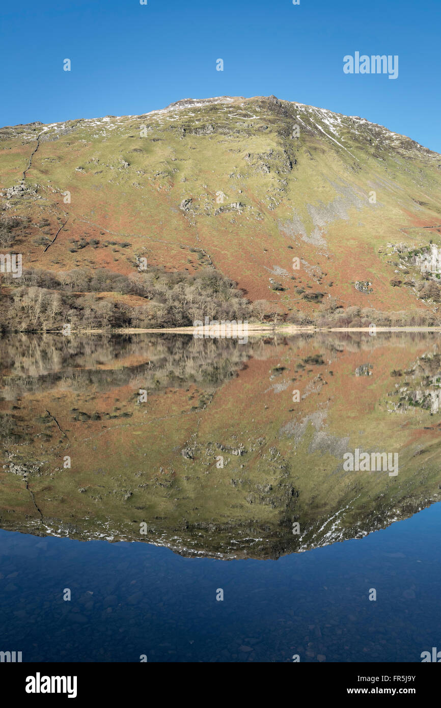 Llyn Gwynant lago sulla A498 strada da Beddgelert nel Parco Nazionale di Snowdonia nel Galles del Nord Foto Stock