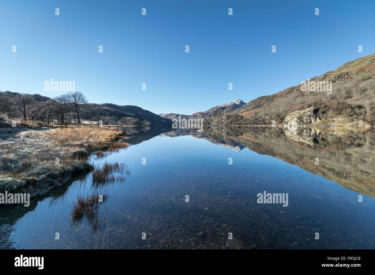 Llyn Gwynant lago sulla A498 strada da Beddgelert nel Parco Nazionale di Snowdonia nel Galles del Nord Foto Stock