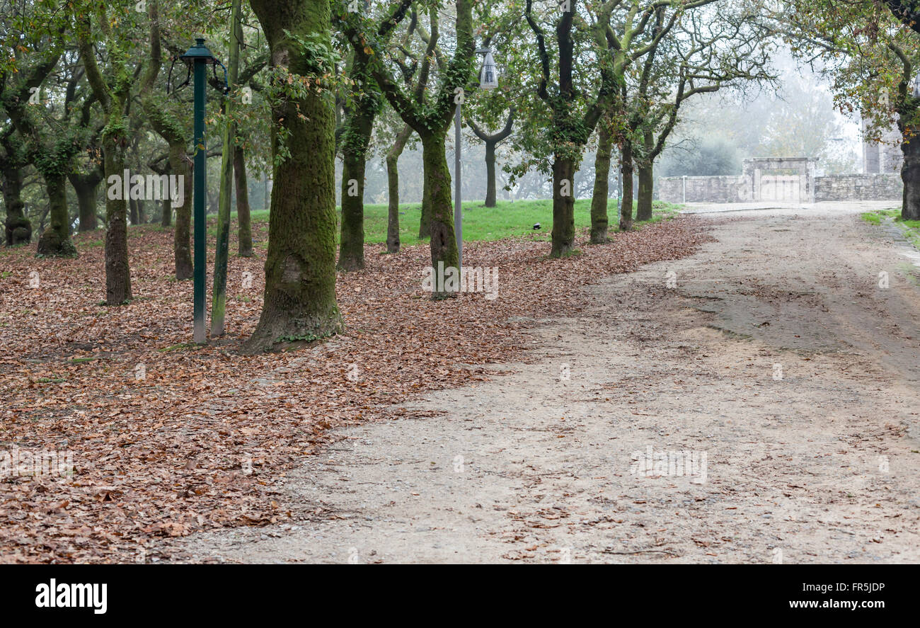 Parque de la Alameda in autunno. Santiago de Compostela. Foto Stock