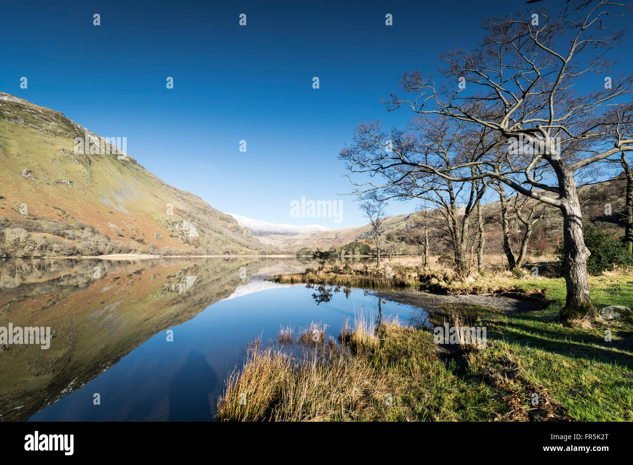 Llyn Gwynant lago sulla A498 strada da Beddgelert nel Parco Nazionale di Snowdonia nel Galles del Nord Foto Stock