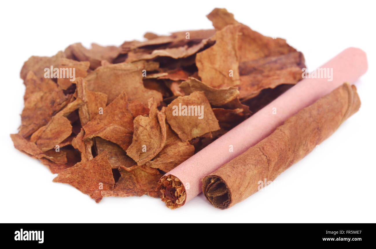 Laminati e tabacco secco su sfondo bianco Foto Stock