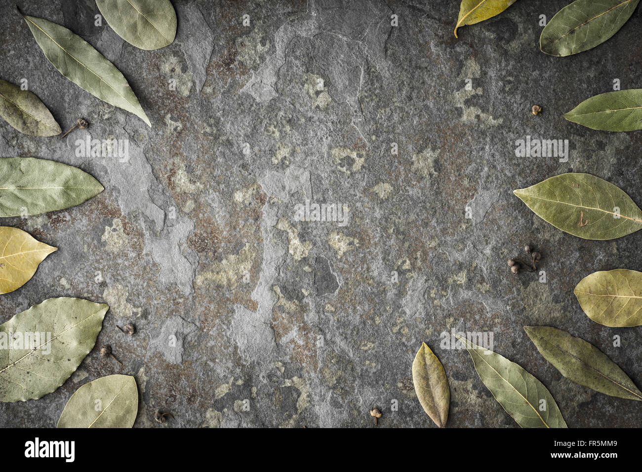 Le foglie di un albero di alloro sulla pietra tavolo orizzontale Foto Stock