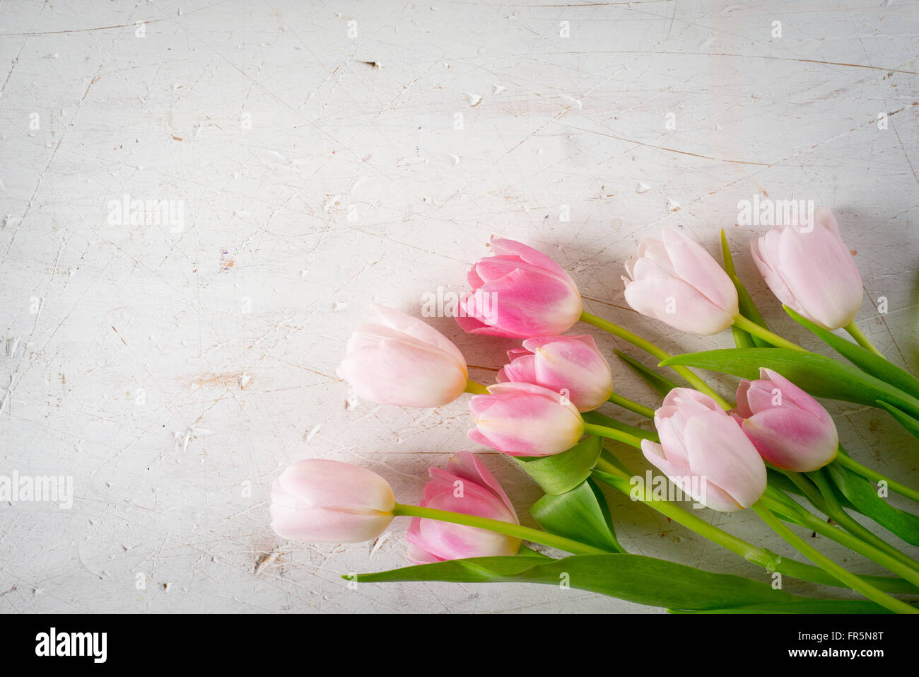 Bouquet di tulipani rosa su sfondo bianco in orizzontale Foto stock - Alamy