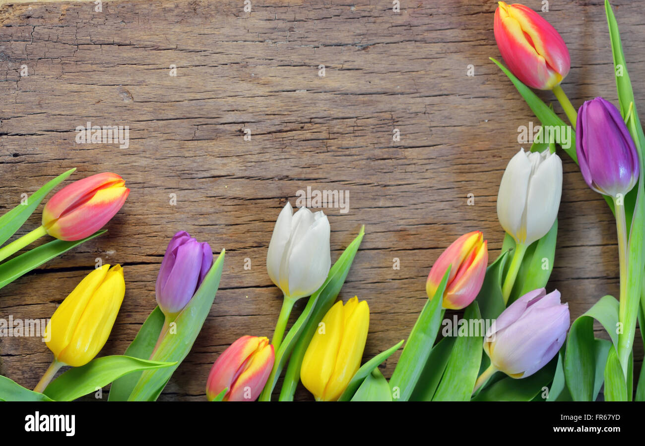 Tulipani colorati sul tavolo di legno Foto Stock