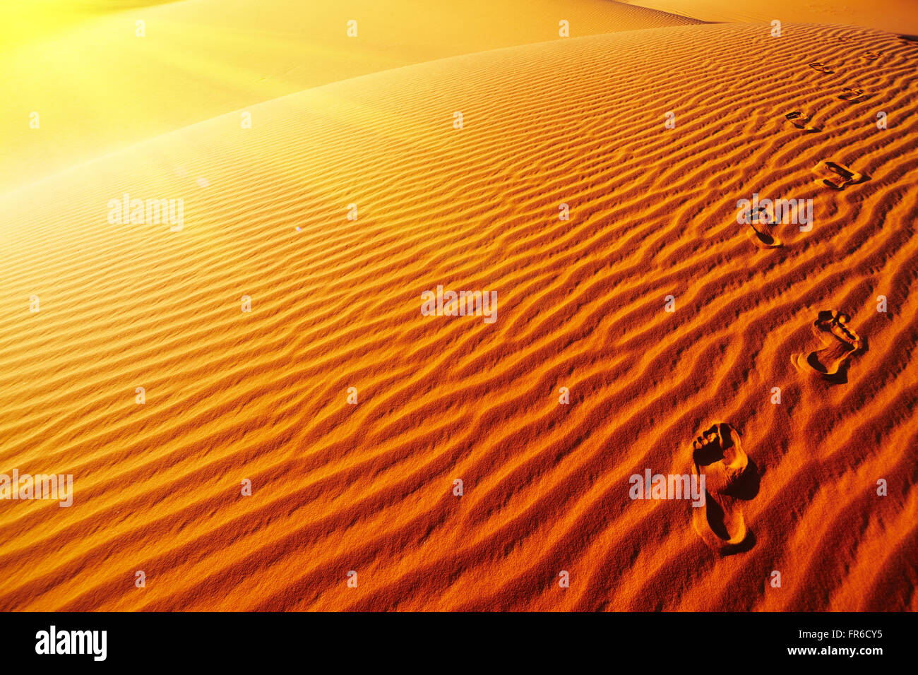 Impronte sulla duna di sabbia, il Deserto del Sahara, Algeria Foto Stock
