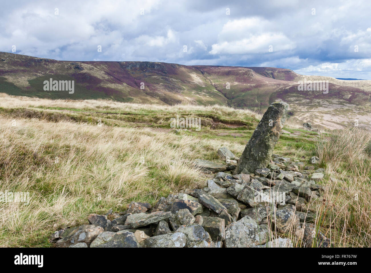 Crollato muro di pietra sulla wild moorland nel picco scuro, con Kinder Scout in distanza. Derbyshire, Parco Nazionale di Peak District, Inghilterra, Regno Unito. Foto Stock