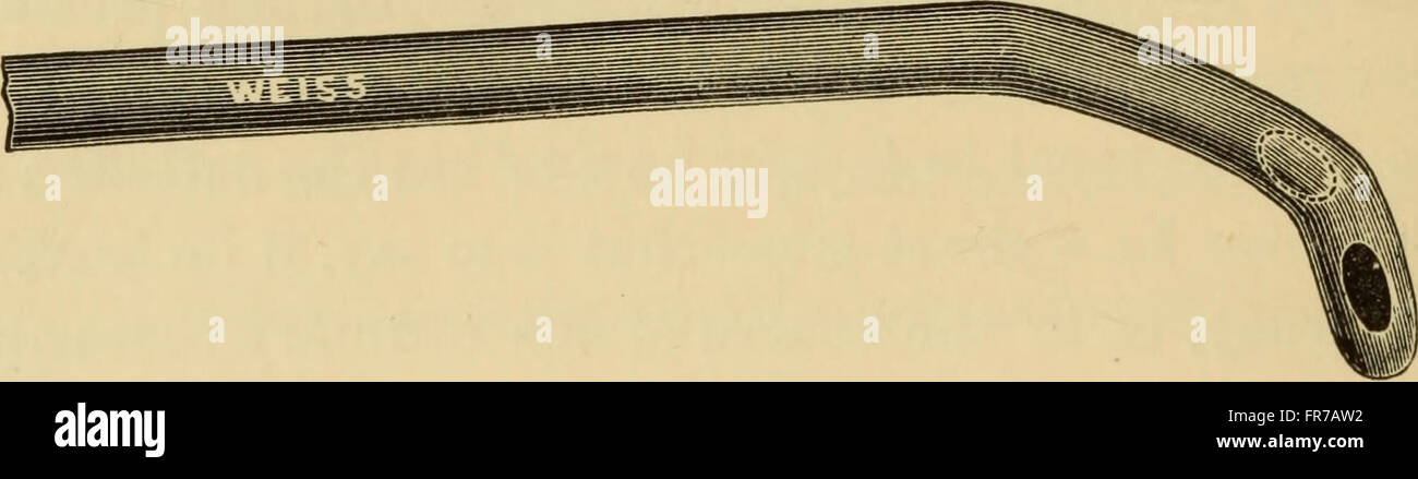 *Conferenze cliniche sulla stenosi dell'uretra e l'allargamento della prostata* (1901) presenta conferenze mediche che discutono le cause, i sintomi e i trattamenti per la stenosi uretrale e l'allargamento della prostata. Foto Stock