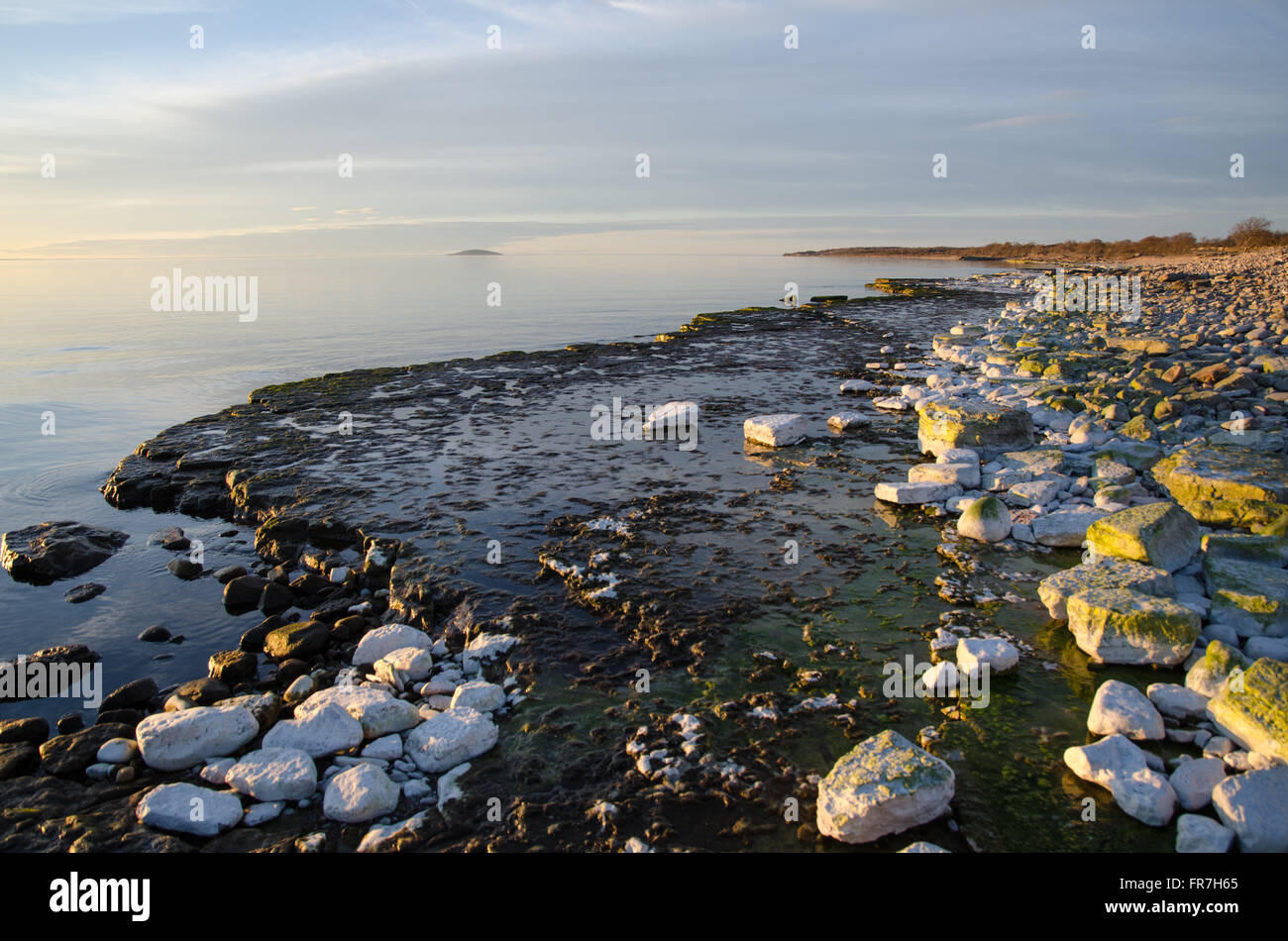 Luce della Sera da una pietra piatta costa con acqua calma all'isola svedese Oland nel Mar Baltico Foto Stock